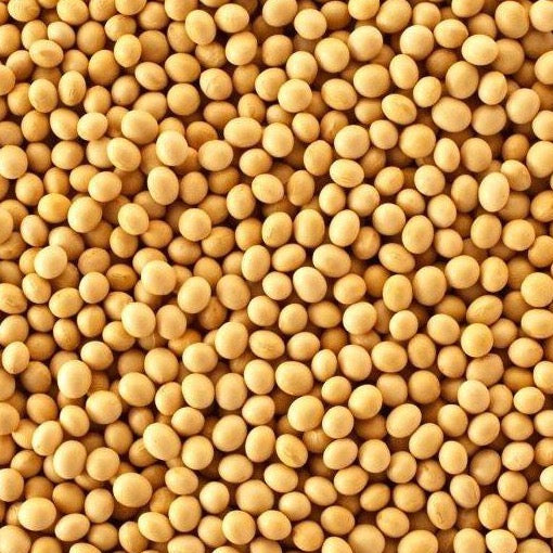 Soya Beans Whole 1KG New Zealand Value Mart NZ