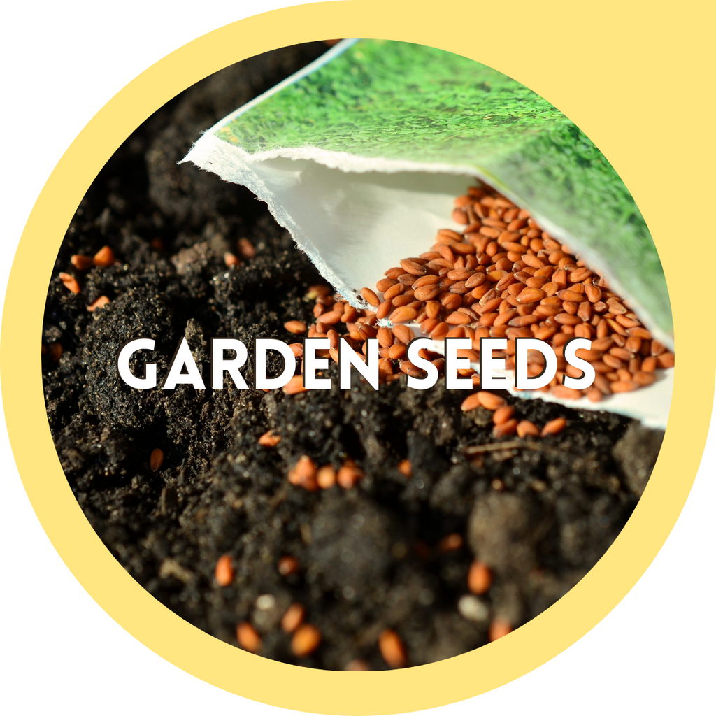Garden Seeds